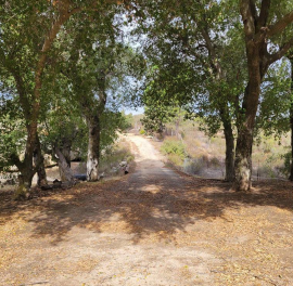 25749 Potrero Valley Rd, Potrero, California